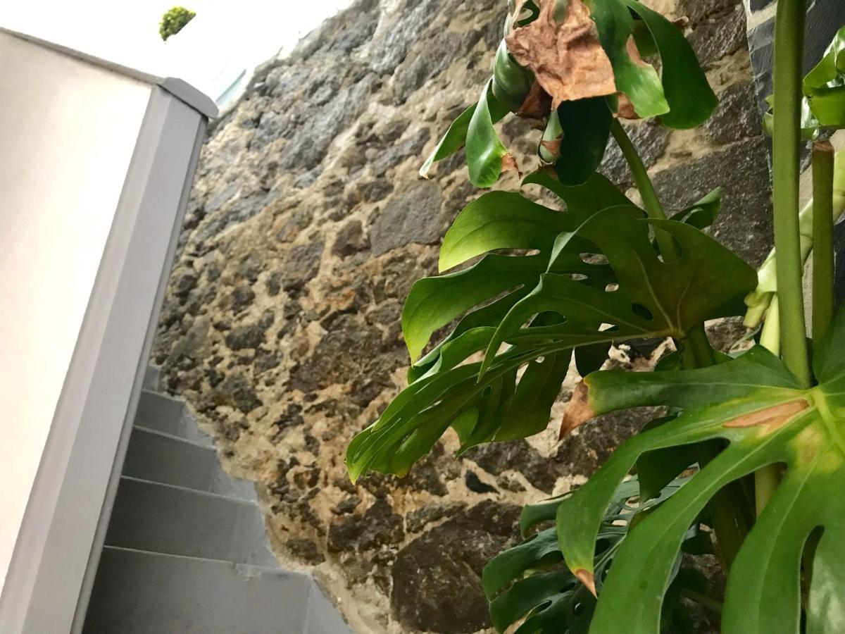 Casa Isabel Centro Historico Βίλα Arucas Εξωτερικό φωτογραφία